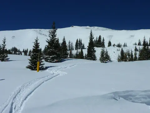powder